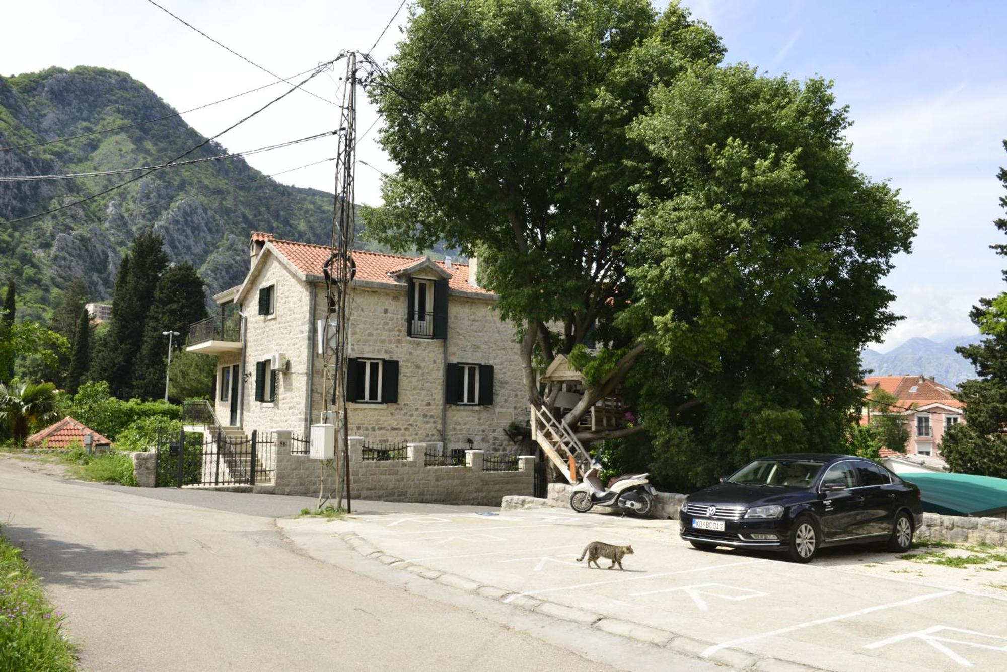 Villa Andrea Apartments With Parking Kotor Exterior foto